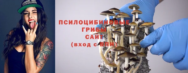 герыч Инсар